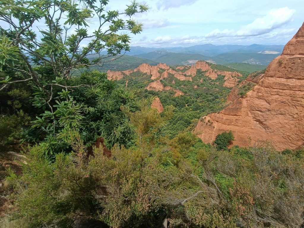 Arbustos y Médulas