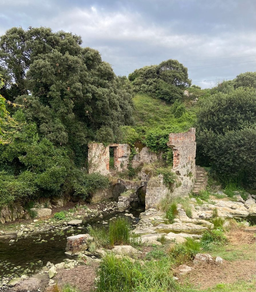 Un molino al lado del mar