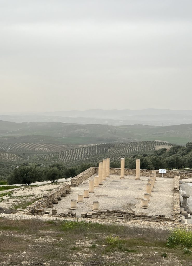 Una ciudad iberorromana en lo alto de la campiña cordobesa