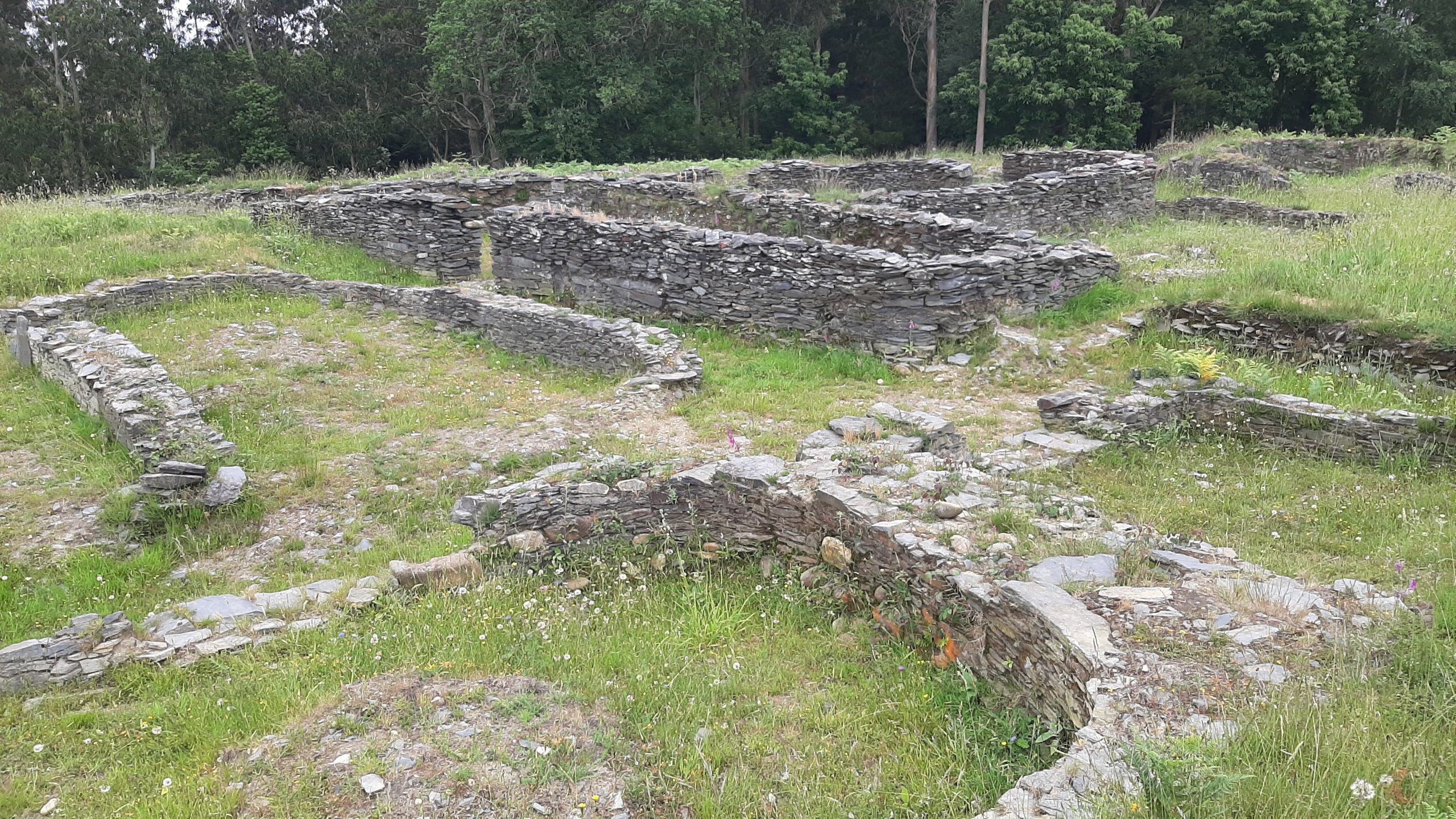 Castro de Mohías, área de viviendas Castro de Mohías, área de viviendas