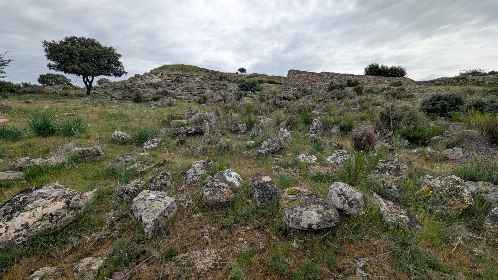 Cogotas, campo de piedras hincadas (Foto: Jesús Martin)