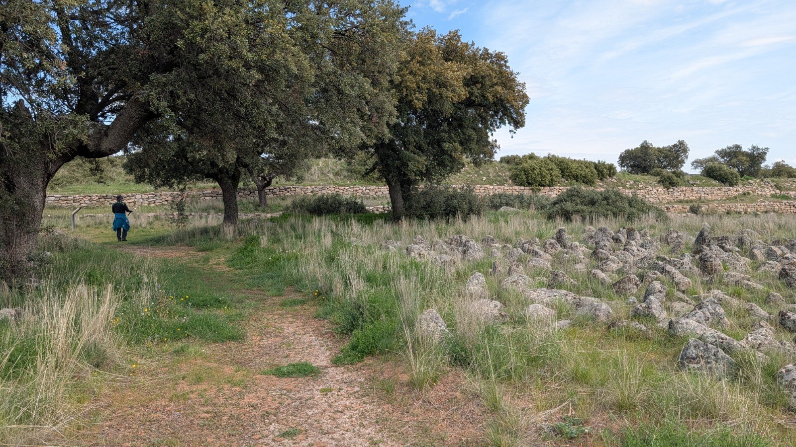 Mesa de Miranda, campo de piedras hincadas (Foto: Jesús Martin)