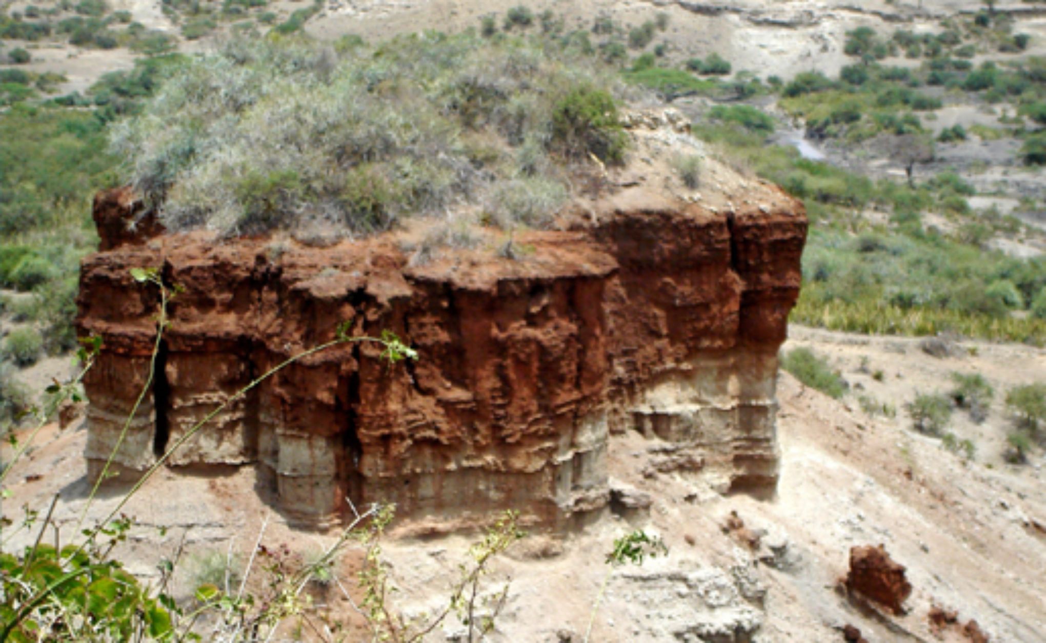 La garganta de Olduvai