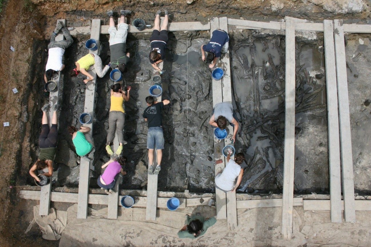 Excavación del sector D de La Draga (Banyoles, Girona). Fuente: Equipo Draga